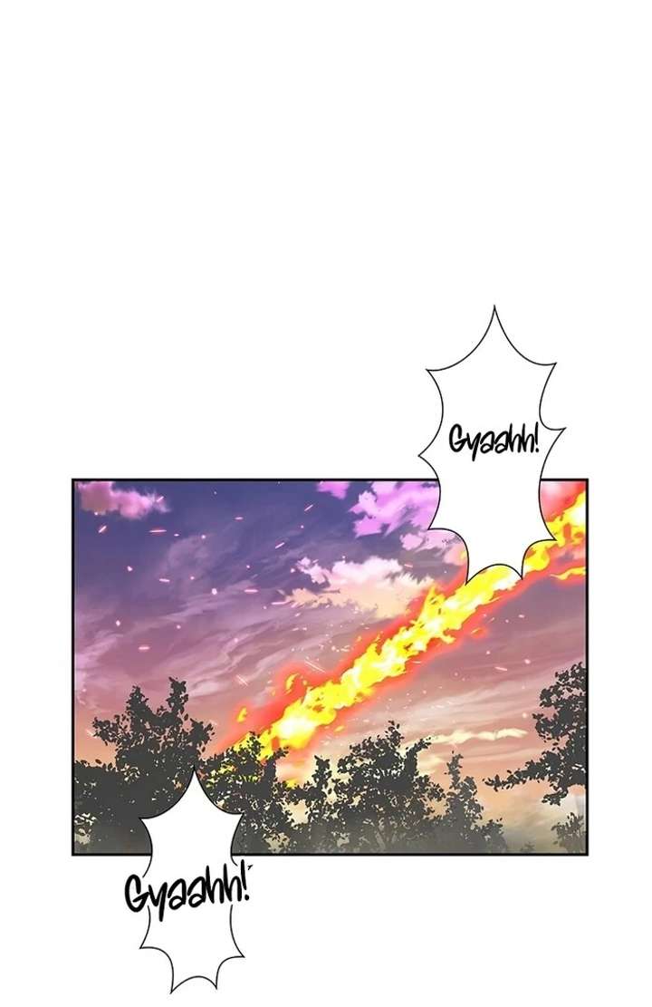 The Super-Strong Noble Lady Wants to Be Truly Weak Chapter 2 page 20 - 