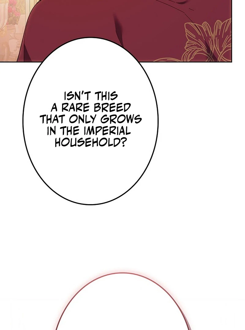 The Super-Strong Noble Lady Wants to Be Truly Weak Chapter 20 page 106 - 