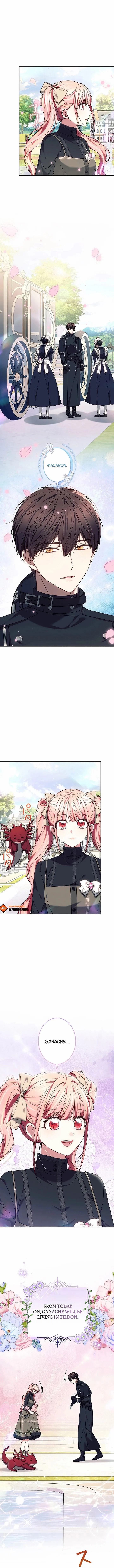 The Super-Strong Noble Lady Wants to Be Truly Weak Chapter 30 page 11 - 