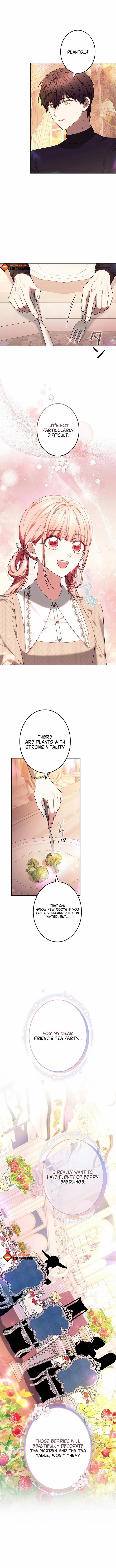 The Super-Strong Noble Lady Wants to Be Truly Weak Chapter 31 page 11 - 