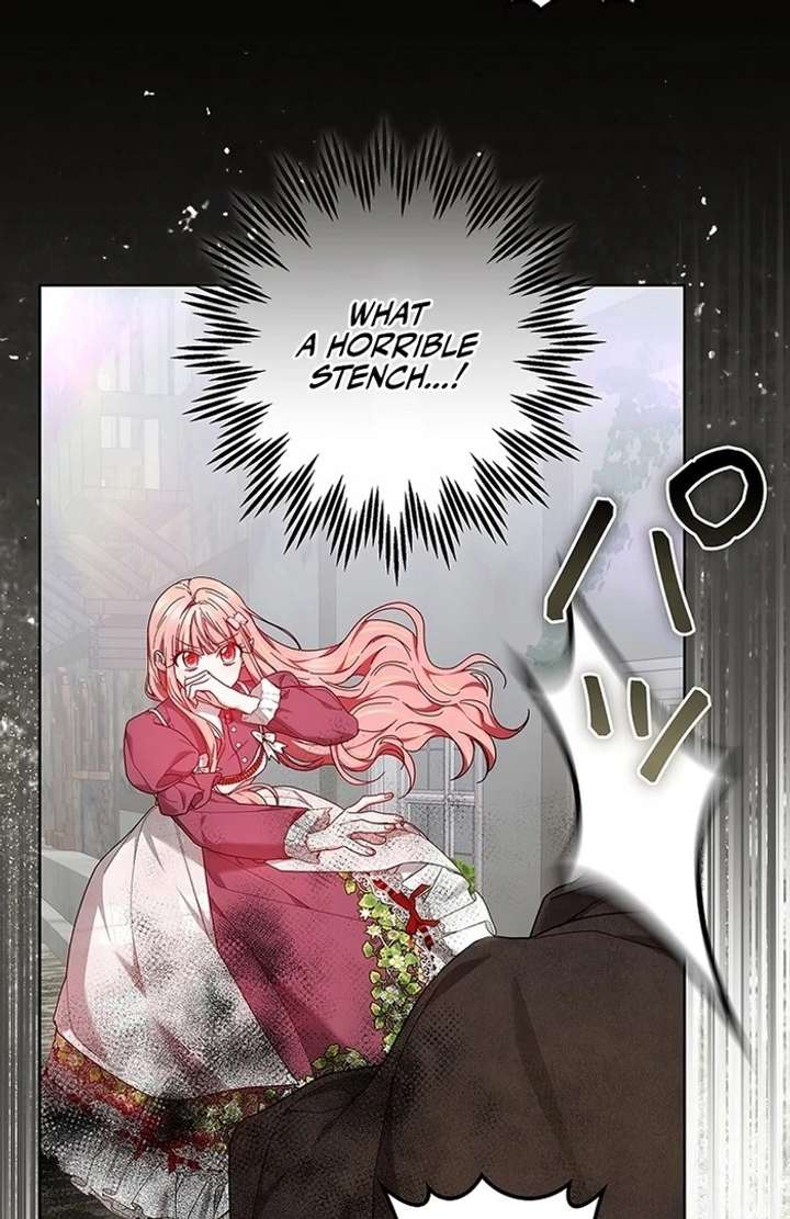 The Super-Strong Noble Lady Wants to Be Truly Weak Chapter 9 page 116 - 