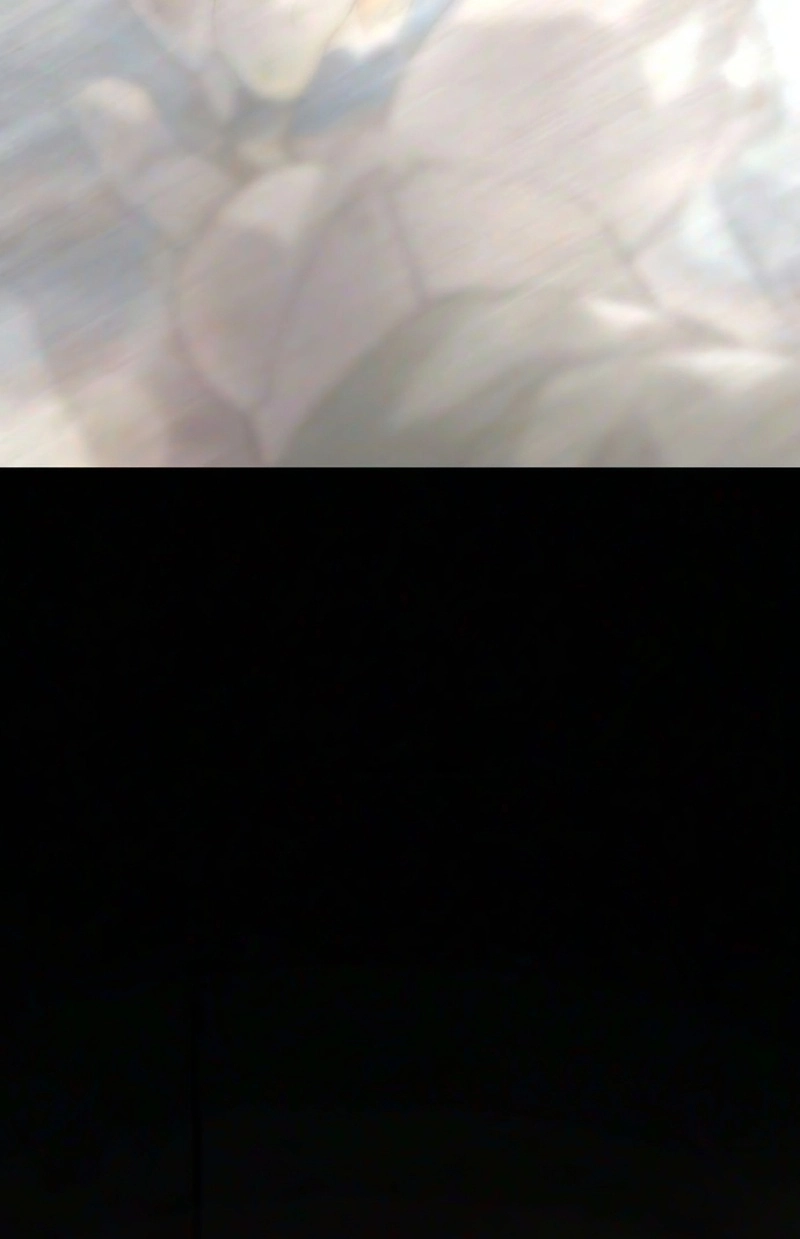 The Superhuman Era Chapter 234 page 215 - 