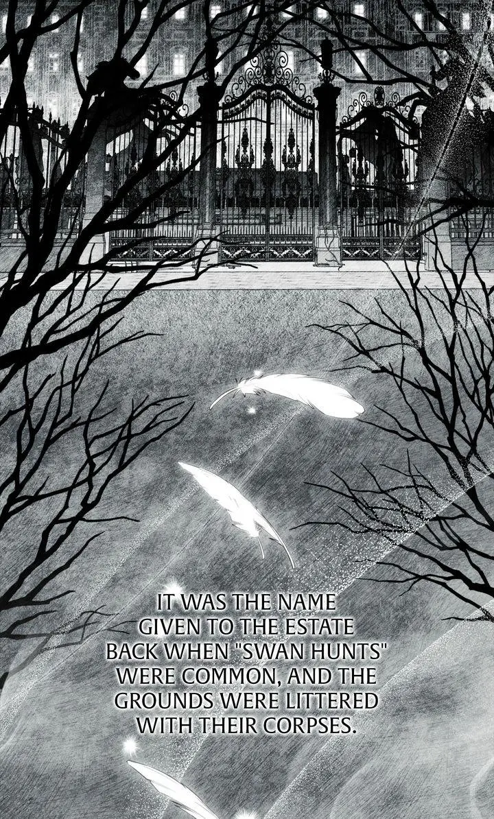  Chapter 1 page 3 - 
