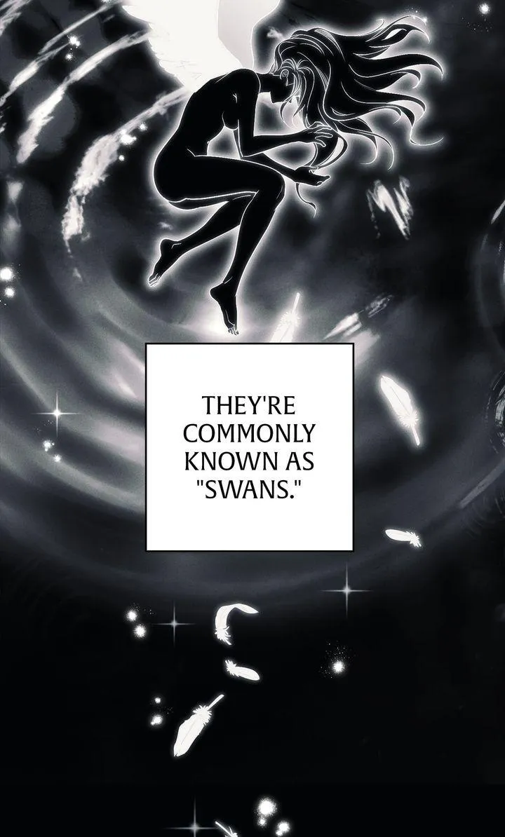  Chapter 1 page 31 - 