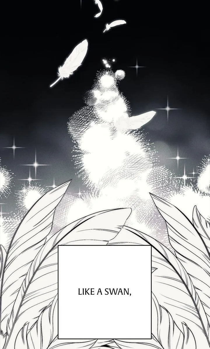  Chapter 1 page 32 - 