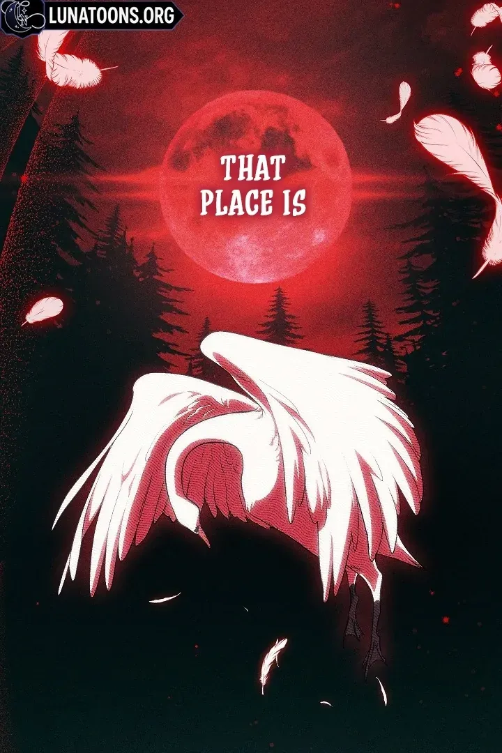  Chapter 11 page 74 - 