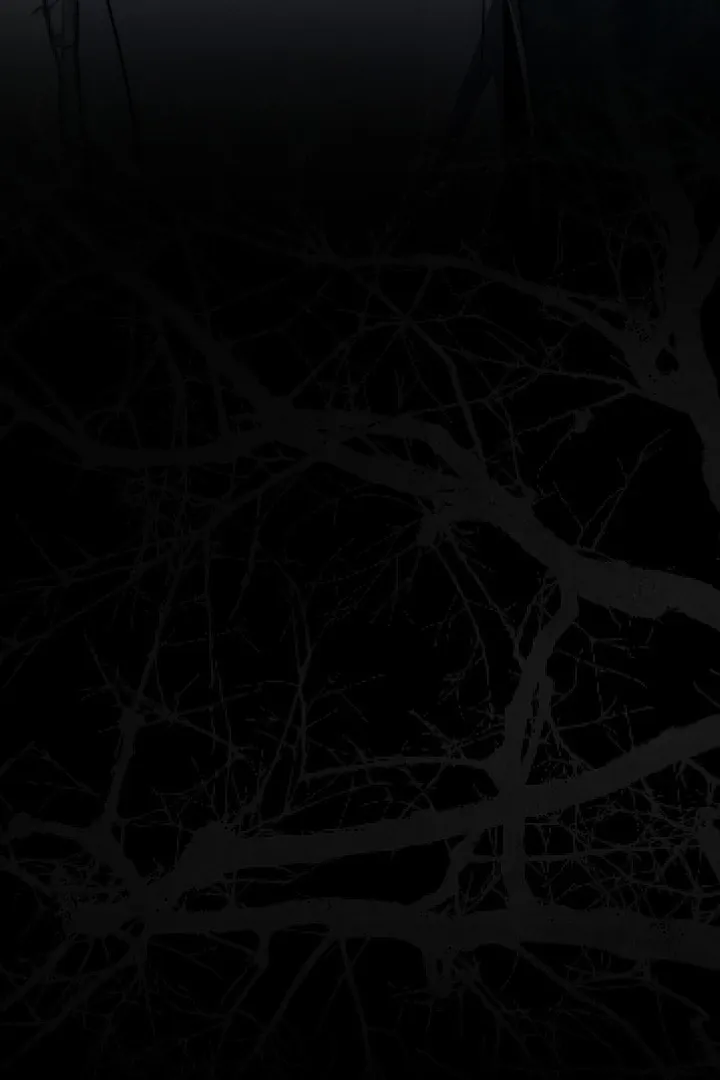  Chapter 12 page 133 - 