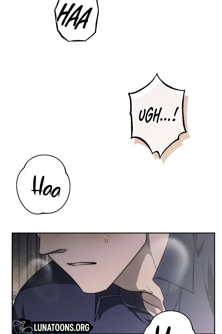  Chapter 13 page 101 - 