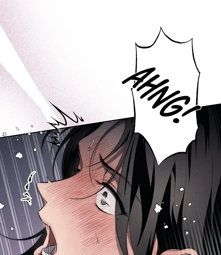  Chapter 13 page 95 - 