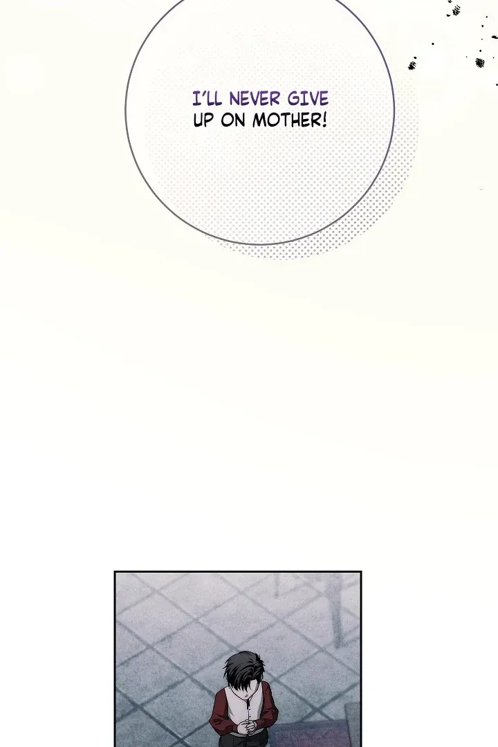  Chapter 15 page 62 - 