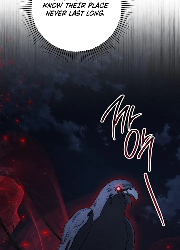  Chapter 15 page 94 - 