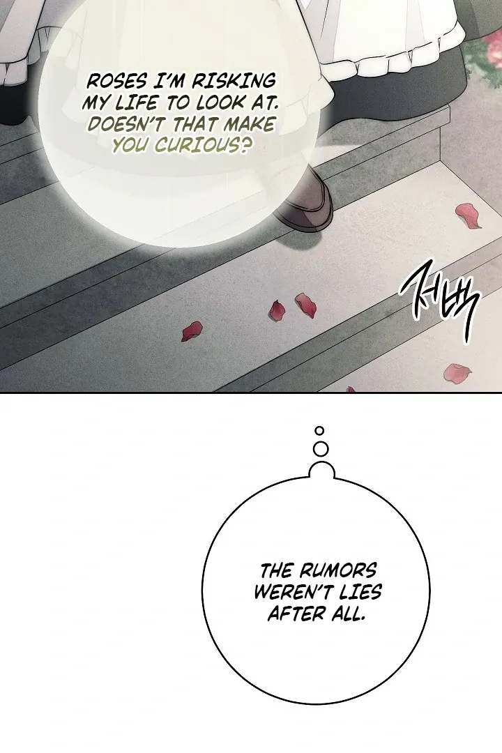  Chapter 16 page 48 - 