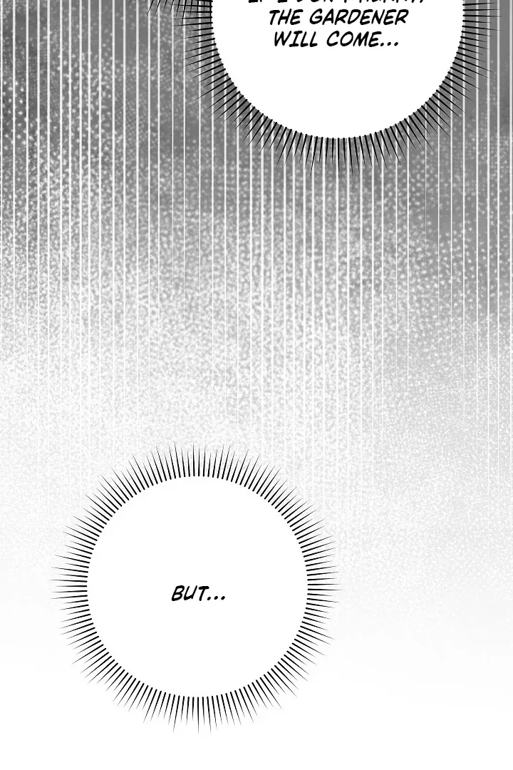  Chapter 16 page 93 - 
