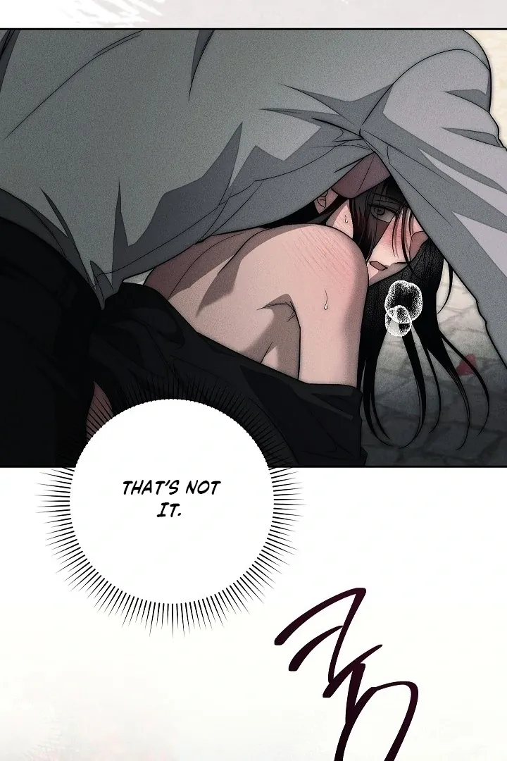  Chapter 17 page 120 - 