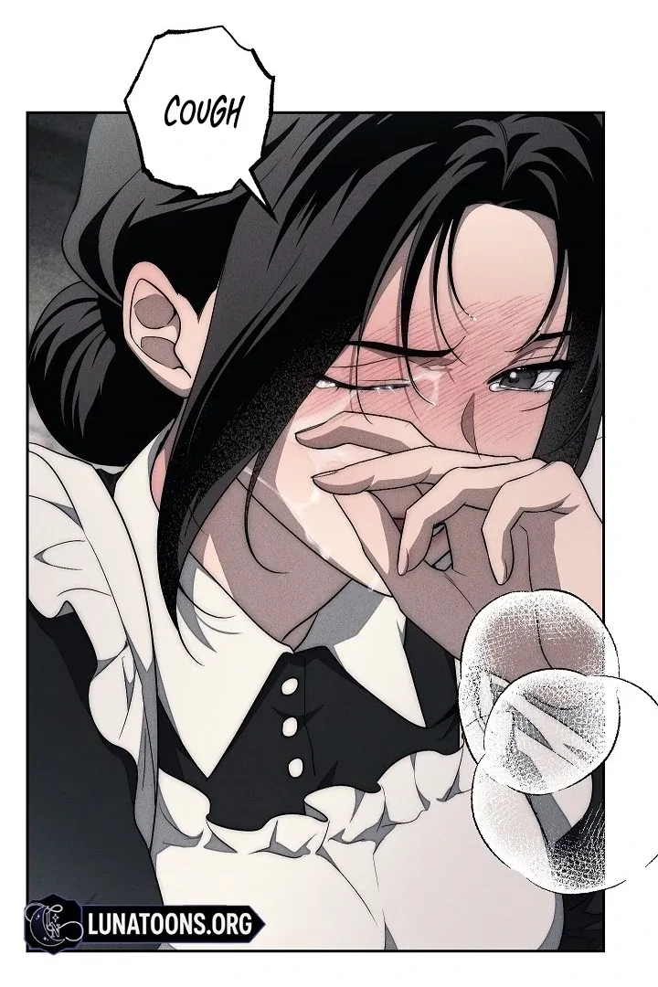  Chapter 17 page 62 - 