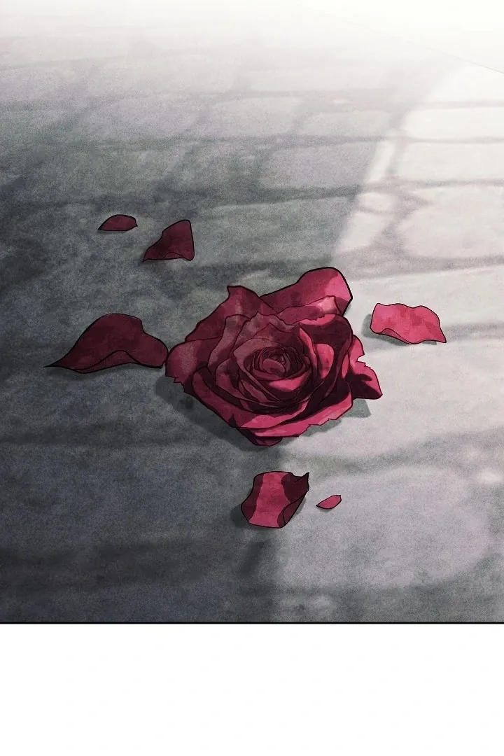  Chapter 18 page 102 - 