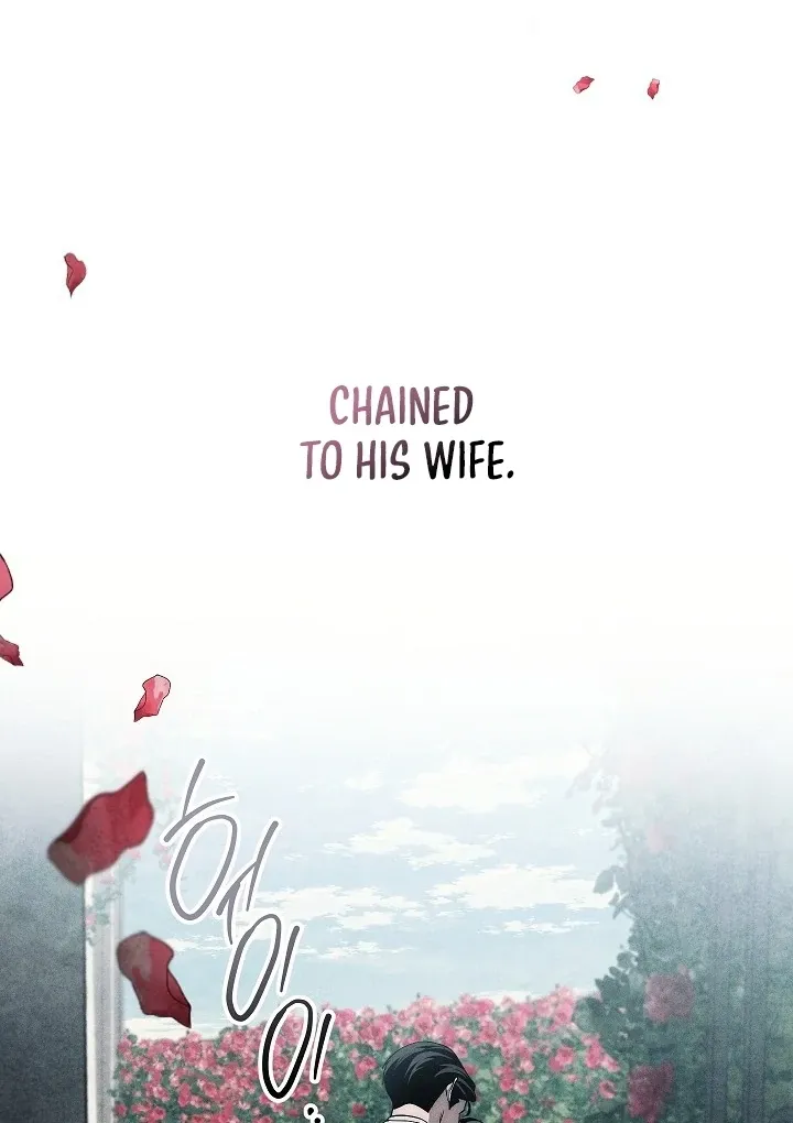  Chapter 18 page 97 - 