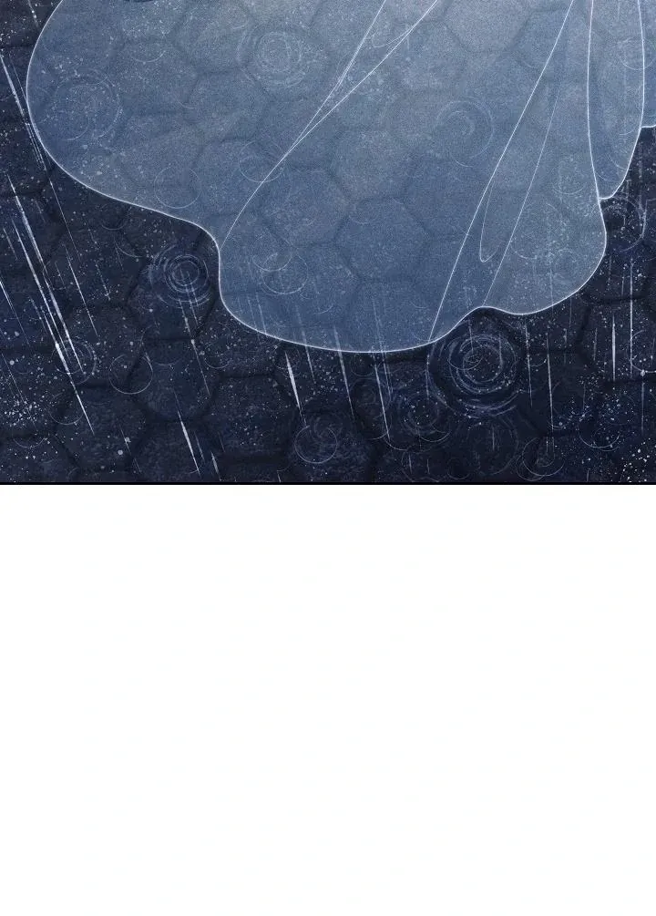  Chapter 19 page 13 - 