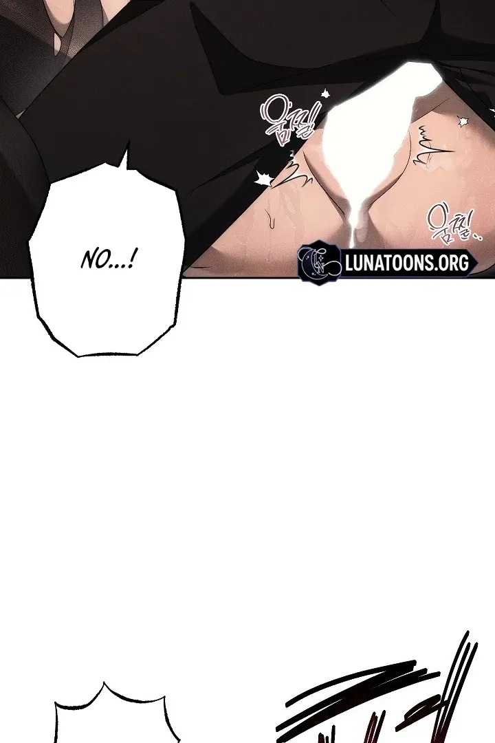  Chapter 2 page 101 - 