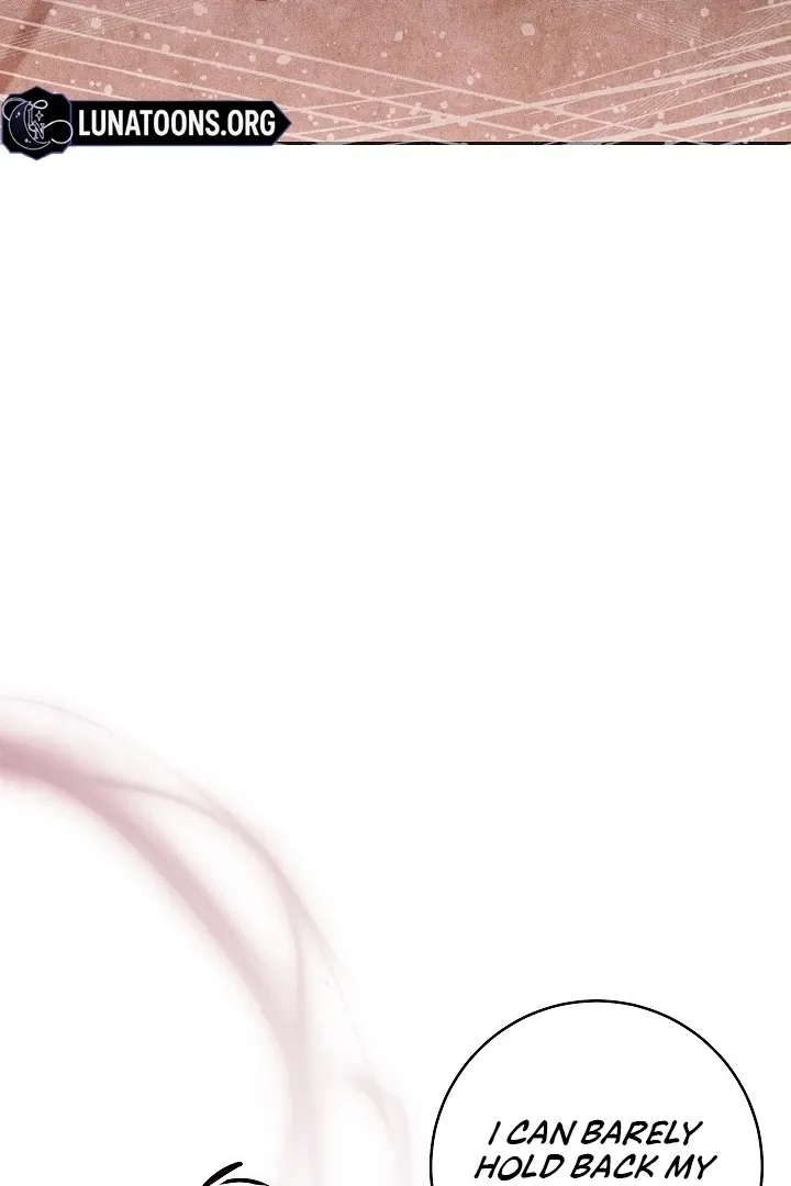  Chapter 2 page 17 - 