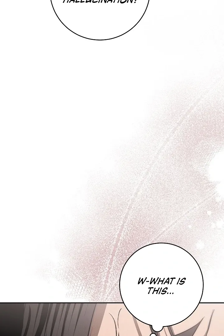  Chapter 2 page 66 - 