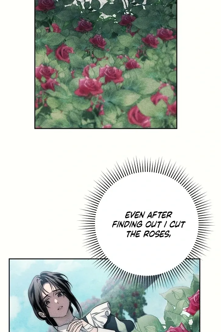  Chapter 22 page 101 - 