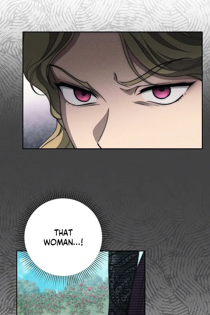  Chapter 22 page 43 - 
