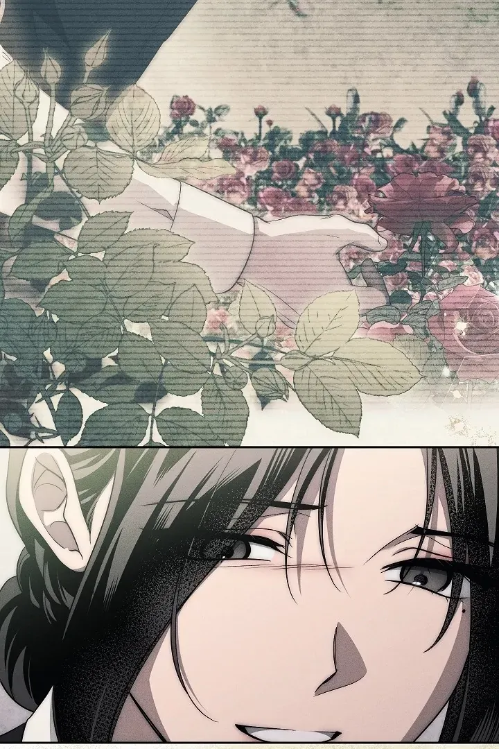  Chapter 22 page 52 - 