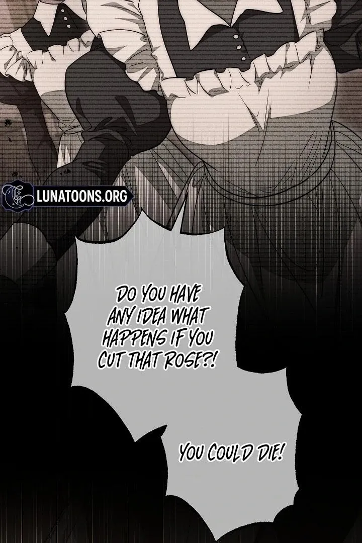  Chapter 24 page 8 - 