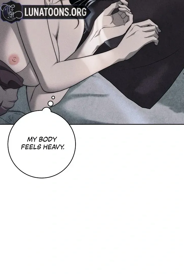  Chapter 3.1 page 65 - 