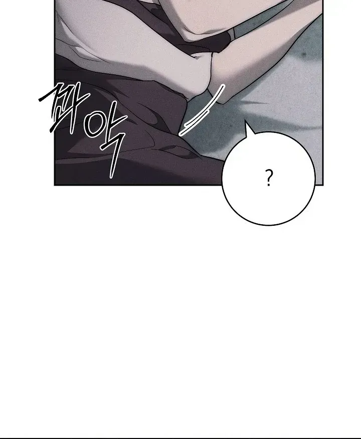  Chapter 3.1 page 67 - 