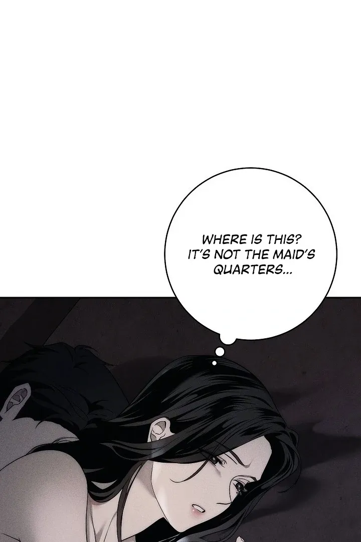  Chapter 3 page 64 - 