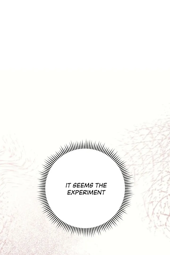  Chapter 4 page 65 - 