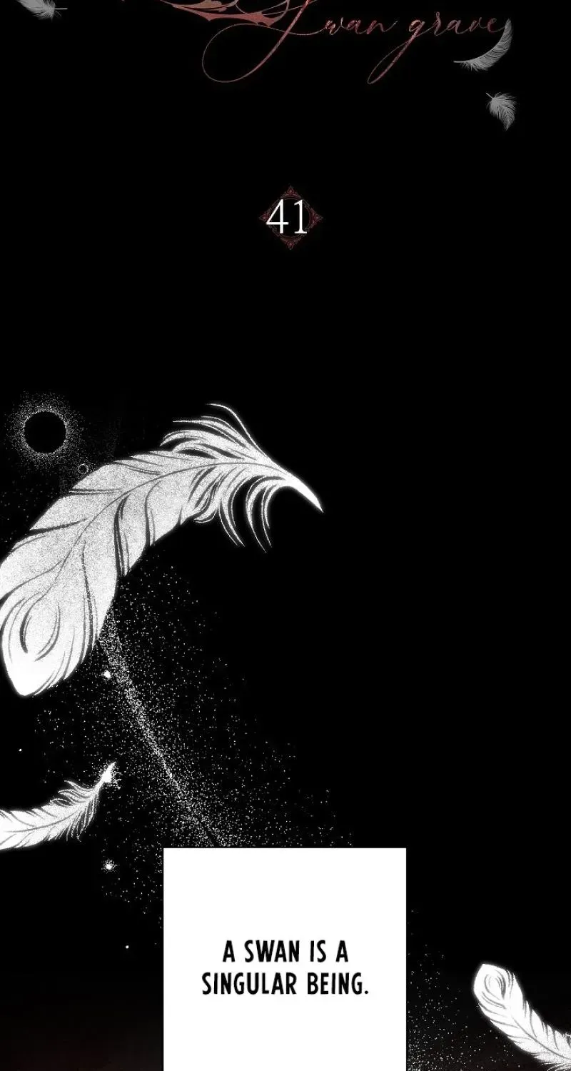  Chapter 41 page 41 - 