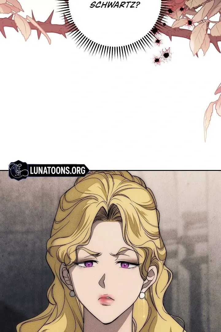  Chapter 5 page 116 - 