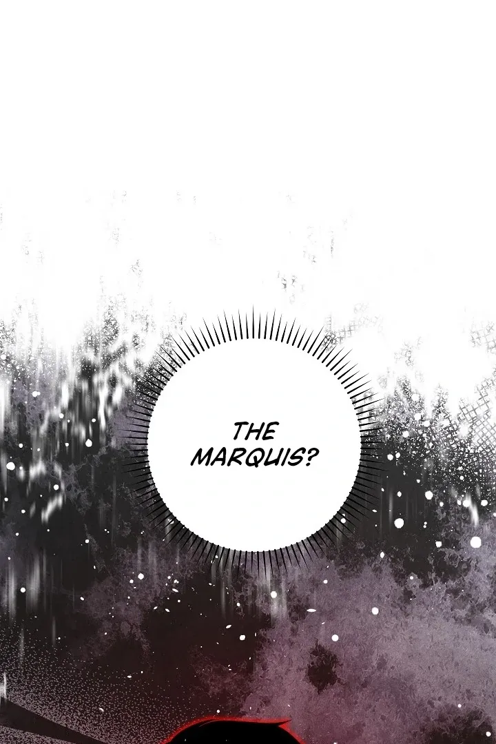  Chapter 6 page 121 - 