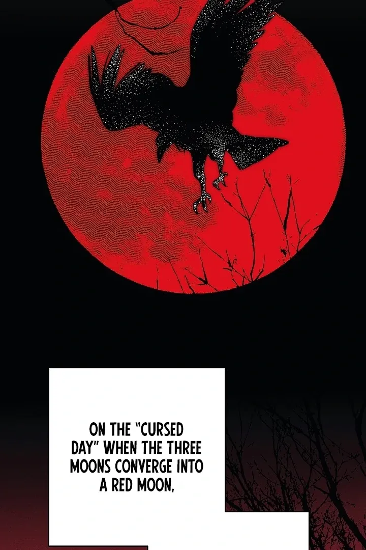  Chapter 6 page 71 - 