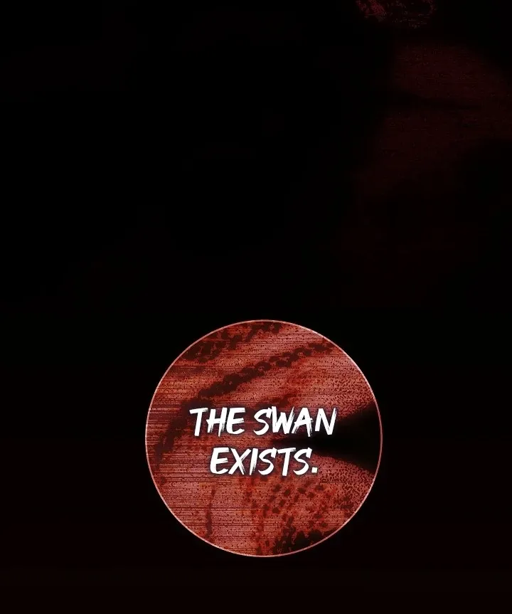  Chapter 6 page 78 - 