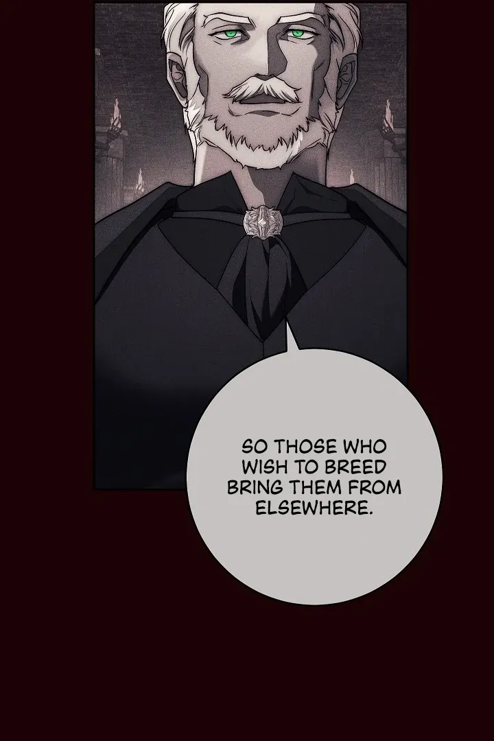  Chapter 6 page 80 - 