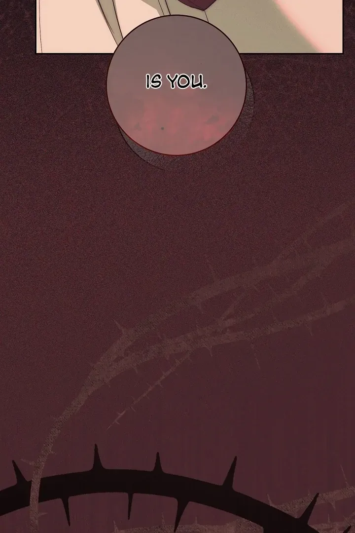 Chapter 8 page 105 - 