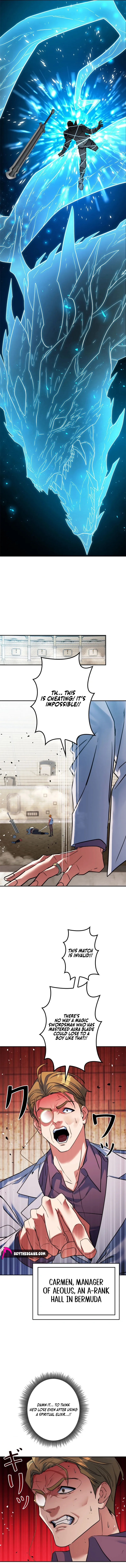 The Sword Emperor Reincarnated into a Swordmaster Clan Chapter 24 page 17 - 