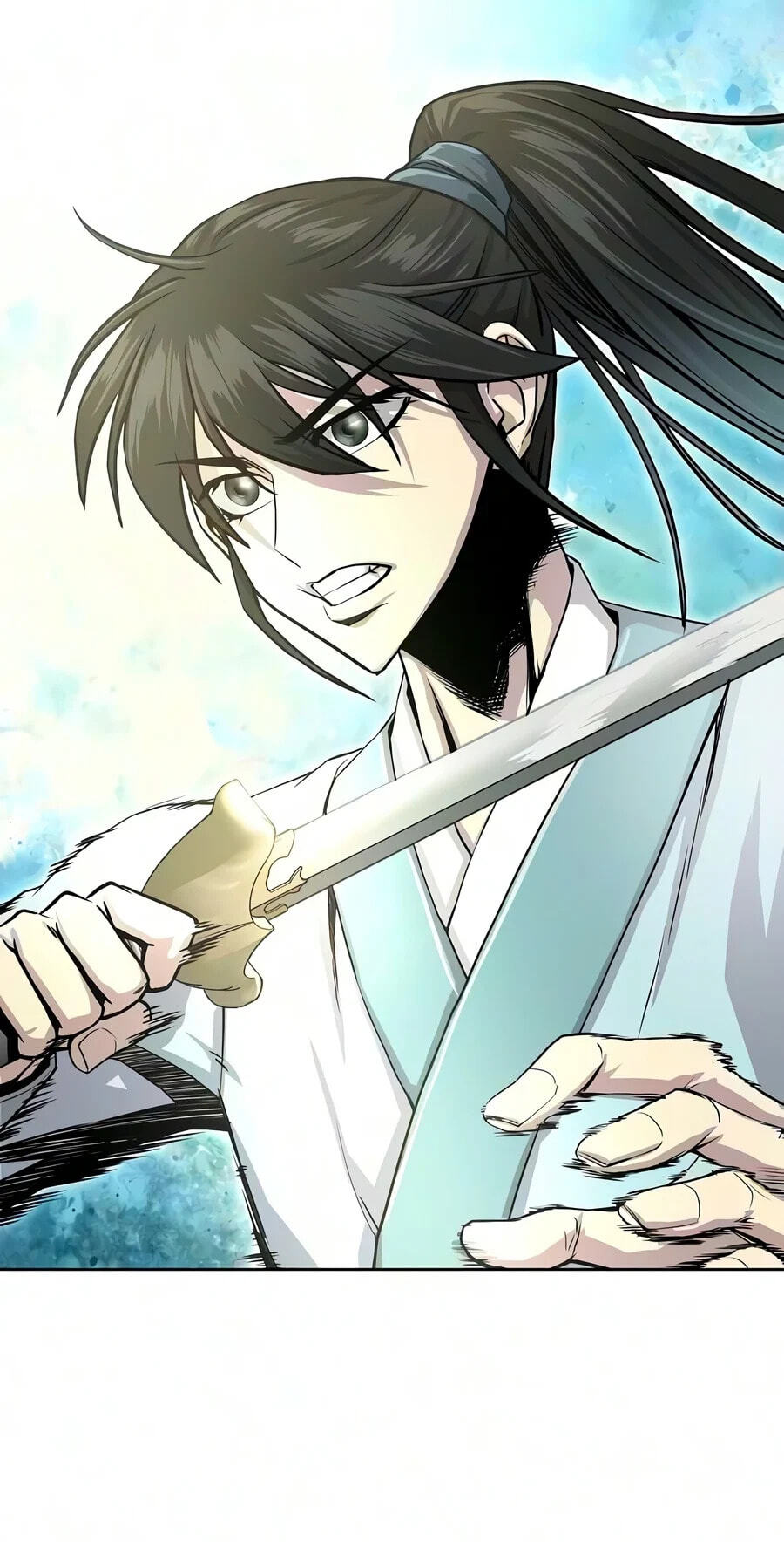 The Sword Emperor