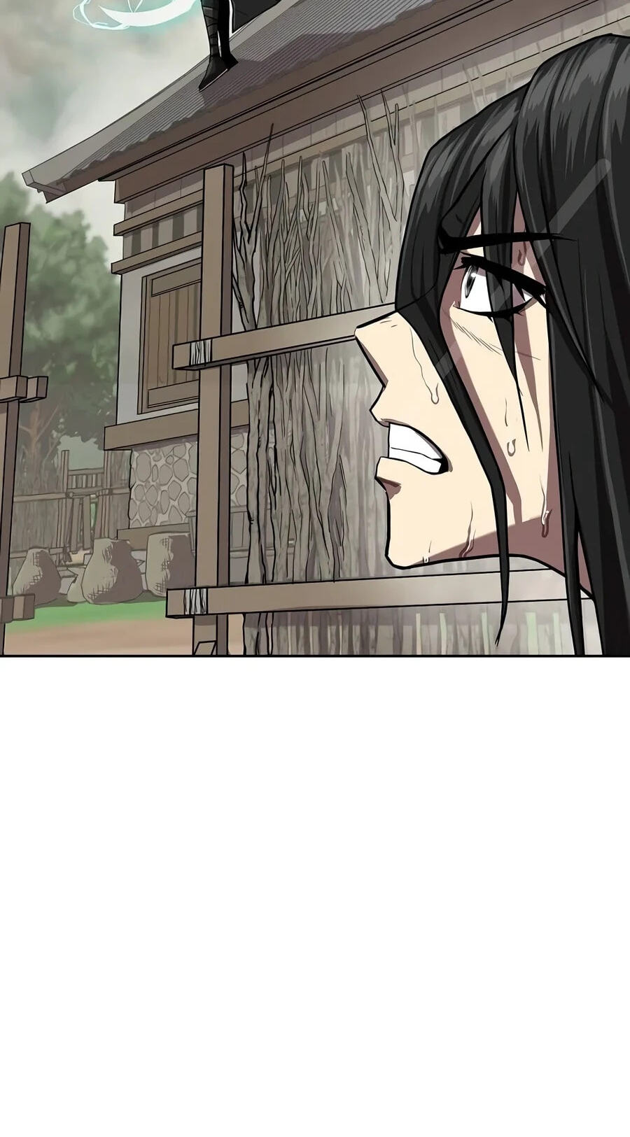 The Sword Emperor