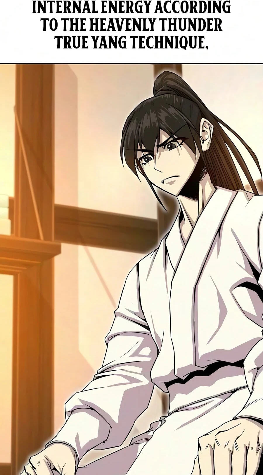 The Sword Emperor
