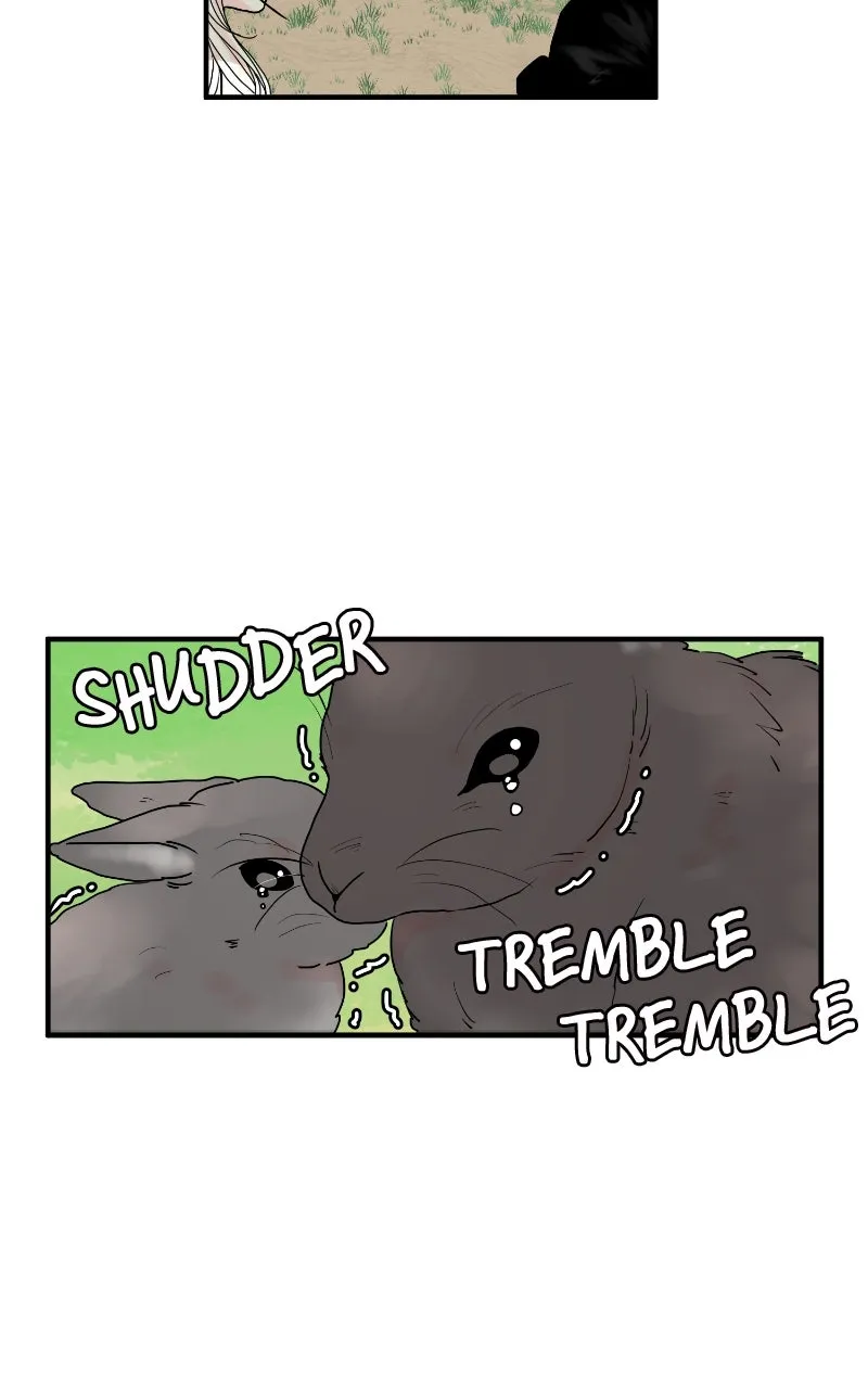 The Tale of a Fox