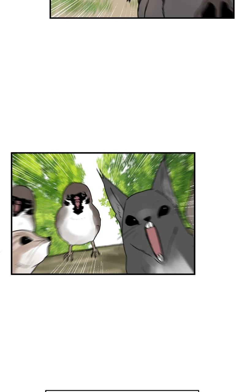 The Tale of a Fox