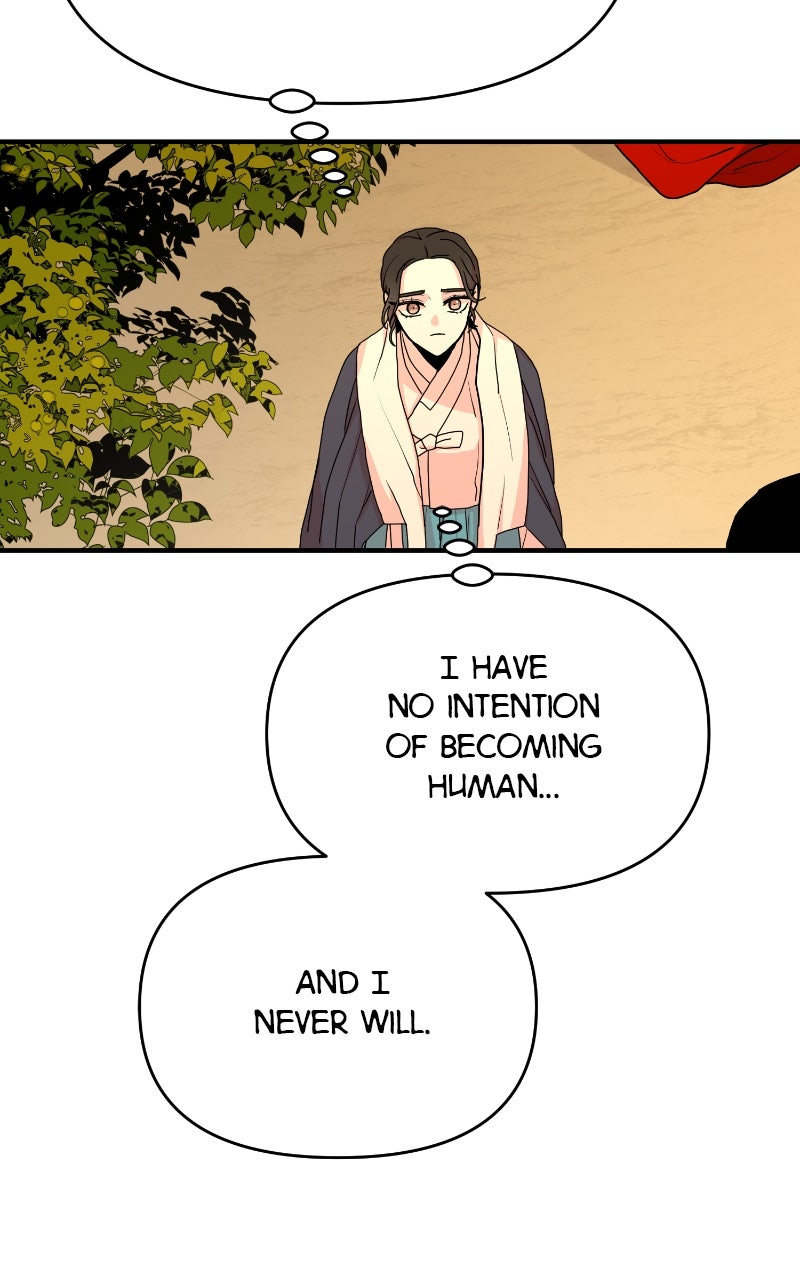 The Tale of a Fox