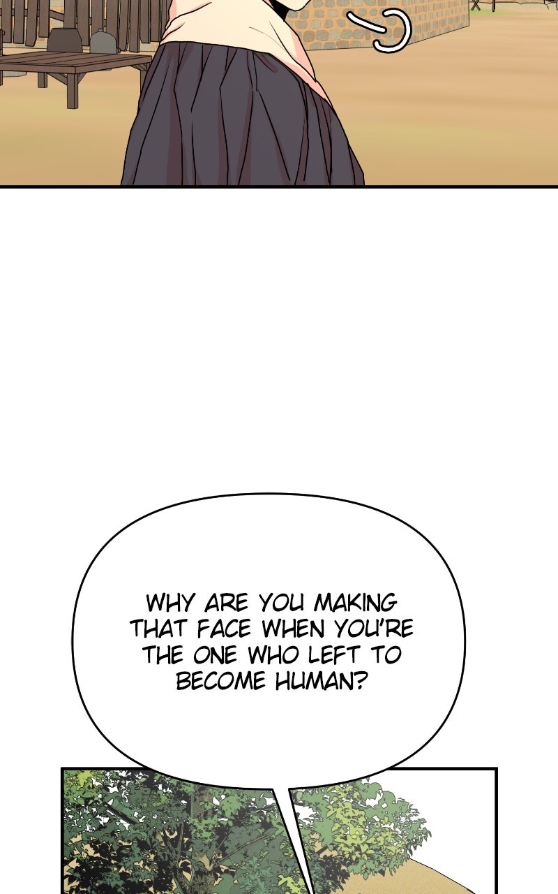 The Tale of a Fox