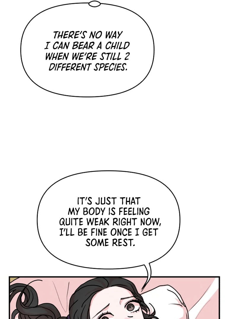 The Tale of a Fox