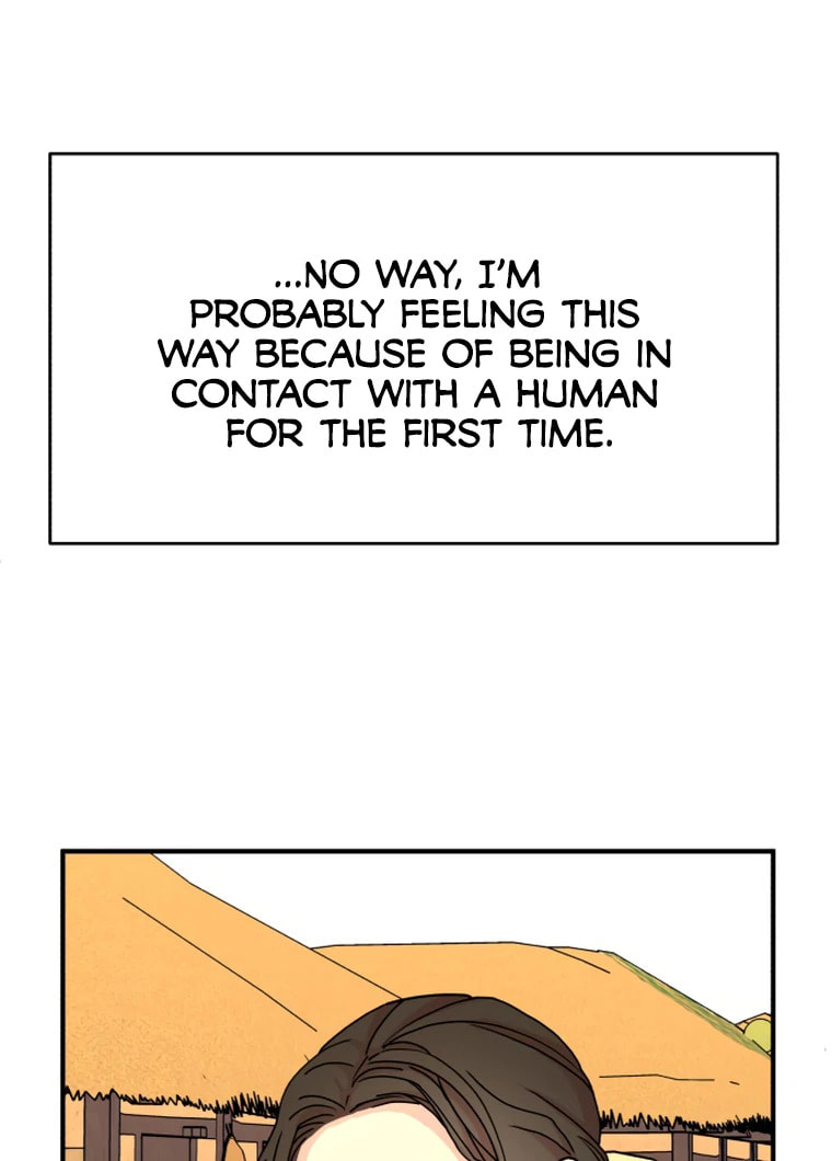 The Tale of a Fox